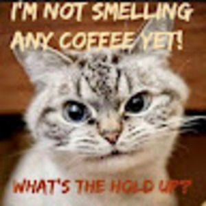 Meet your Posher, Vicki